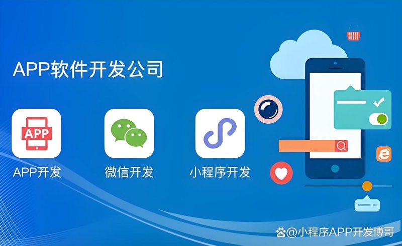 武汉软件开发：城市活力与科技时代的交响
